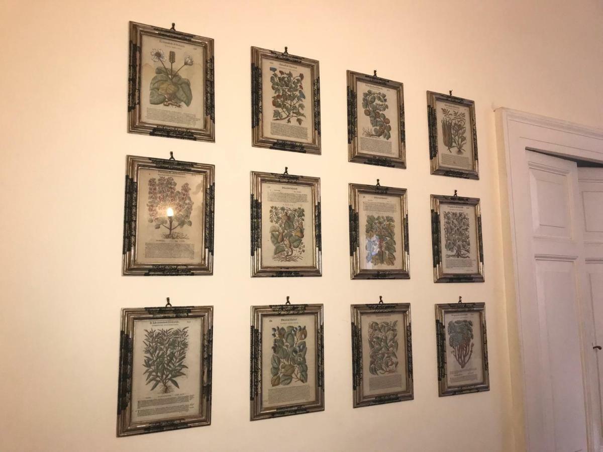 Stylish Apartment In Central Rome "Centro Storico" Ngoại thất bức ảnh